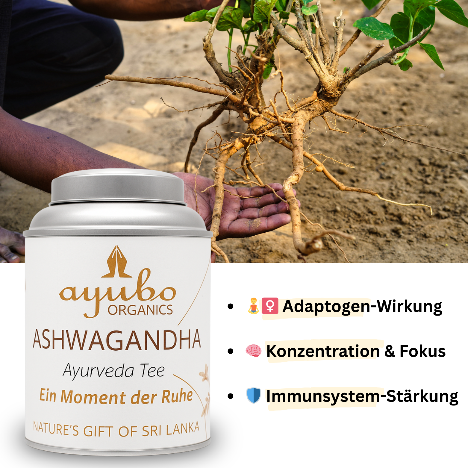Ayurveda Tee Set