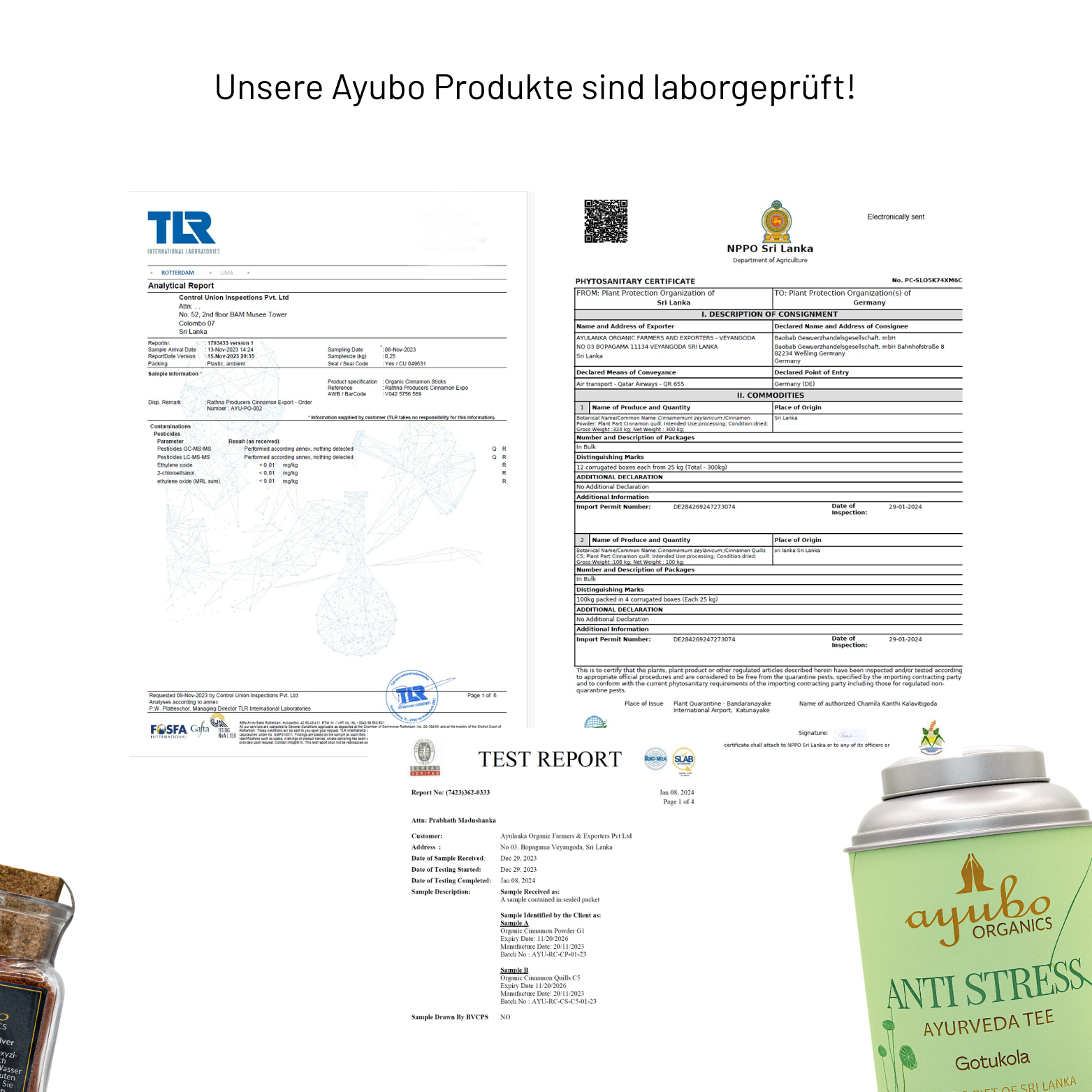 Stoffwechsel Set (for him)