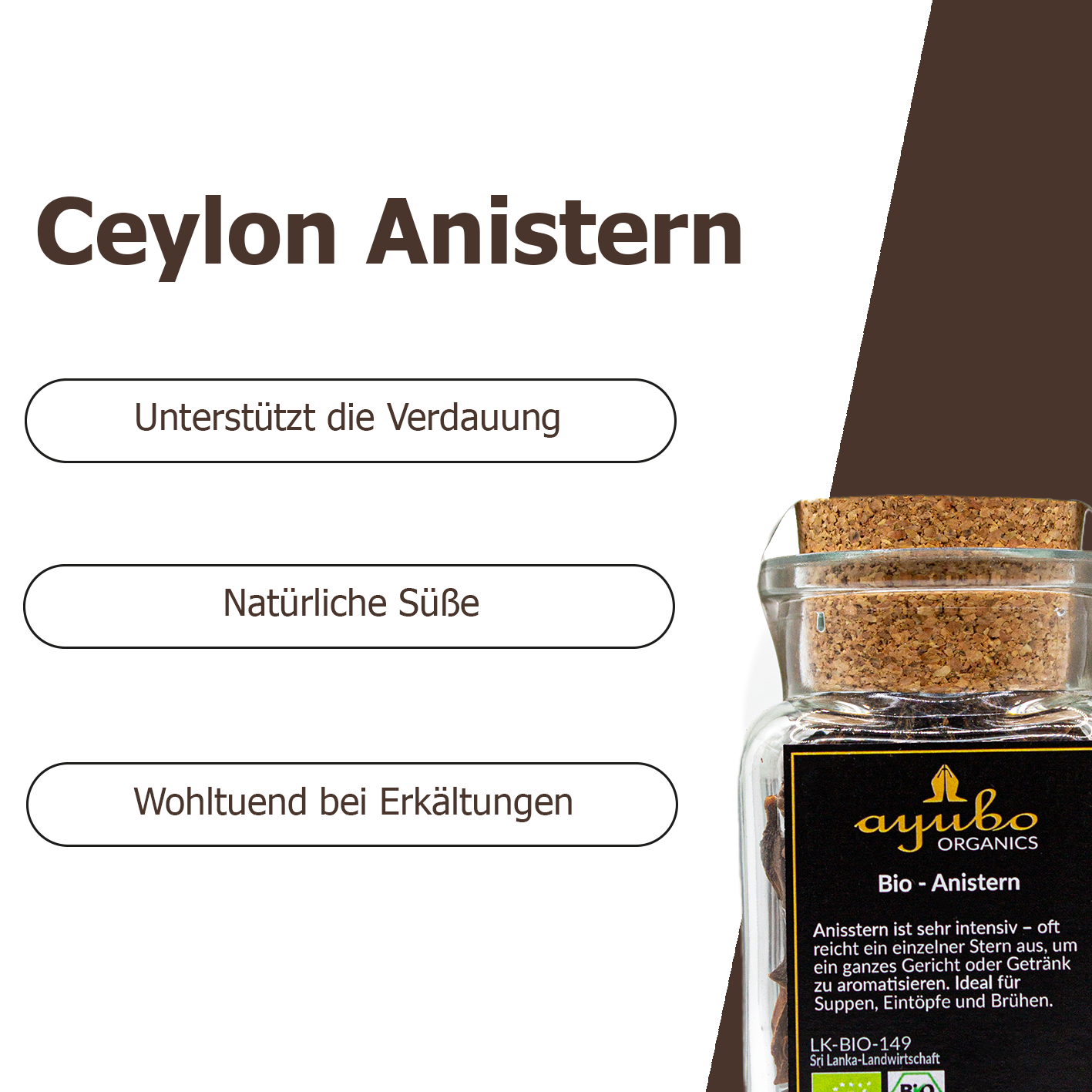 Anistern