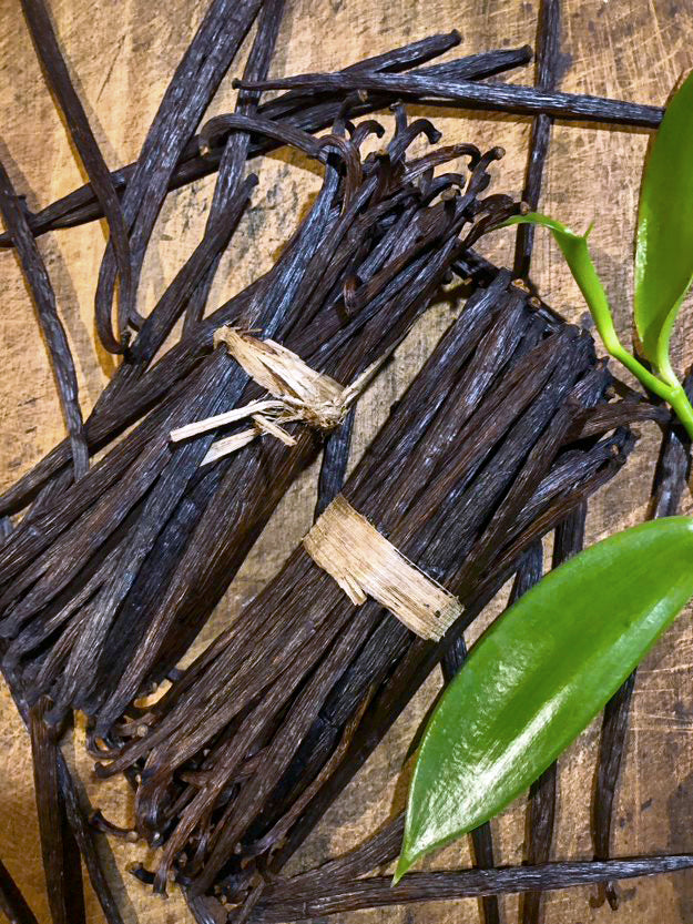 bio Vanilla Schoten