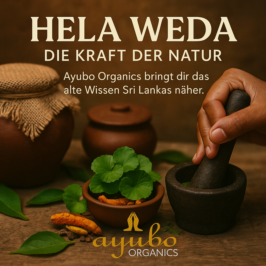 Ayurveda Kochkurs Module 1