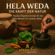 Ayurveda Kochkurs Module 1